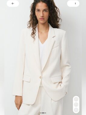 Aritzia Wilfred Generation Blazer – Crepette™